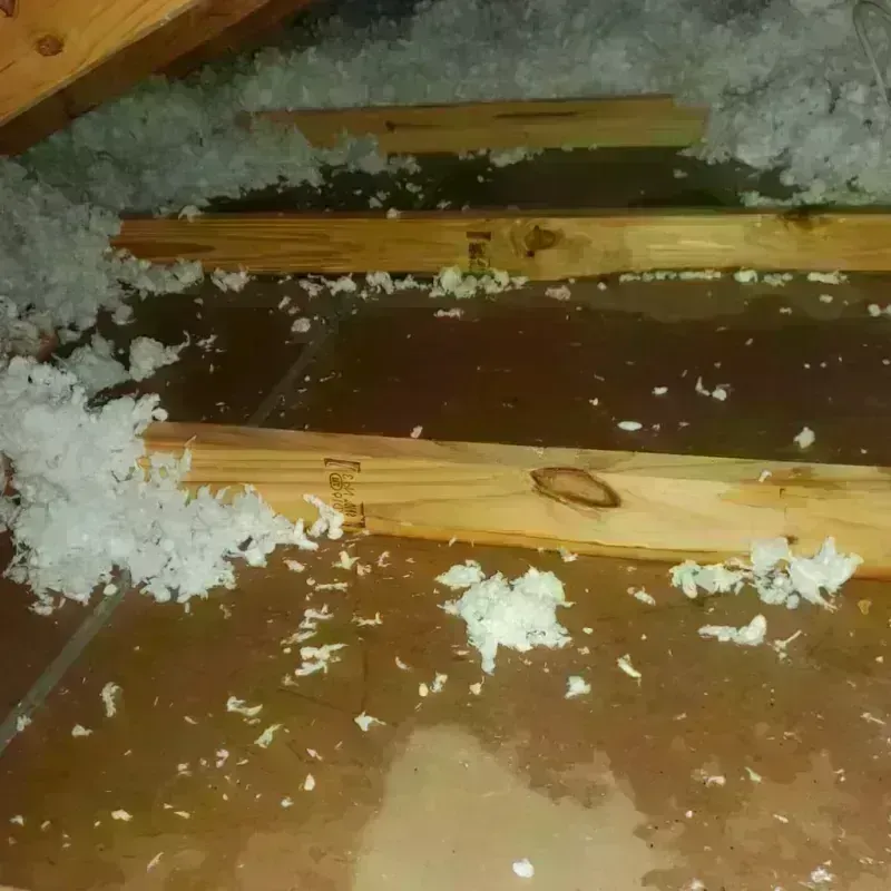 Attic Water Damage in Grapevine, TX