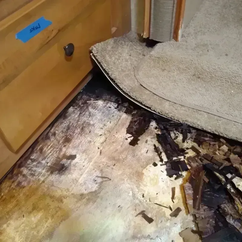 Wood Floor Water Damage in Grapevine, TX